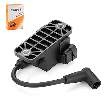 Amazon.com: Outboard Ignition Coil CDM Module 4 Pin for
